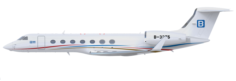 China's Baoneng Jet phases out only aircraft